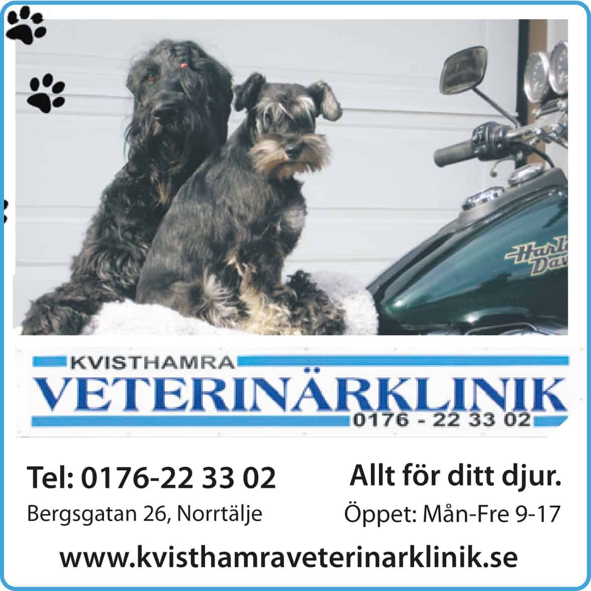 kvisthamra-vetklinik_2021